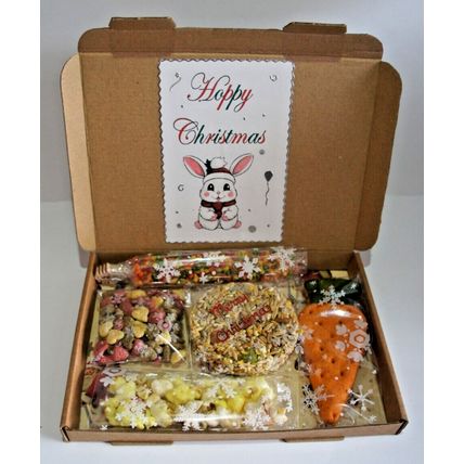 HOPPY CHRISTMAS RABBIT BUNNY GIFTBOX DECORATED GIFT BOX WITH XMAS CAKE & TREATS