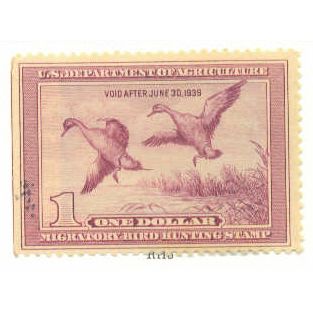 Used RW5 $1 Pintail Drake and Hen Alighting Fine Plus A05523