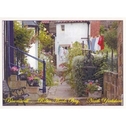 Robin Hoods Bay Bloomswell Laundry Dirty Washing Grocers Stores Postcard