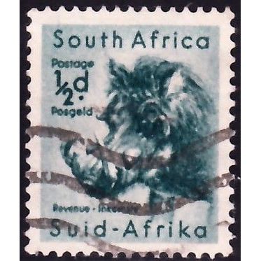South Africa, 1954 1/2d Wart Hog, SG 151 (Scott #200), used