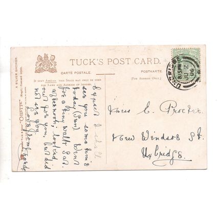 ARTIST DRAWN POSTCARD BY B.COBBE DOGS WITH PURSE POSTED 1906 (3755)