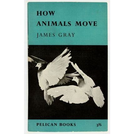 How Animals Move James Gray 1959 Book Postcard