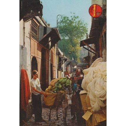 Wool Dyers Market Morocco Postcard