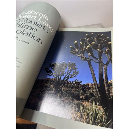 National Geographic Magazine May 1996 Dinosaur Eggs - Vintage Collectable r