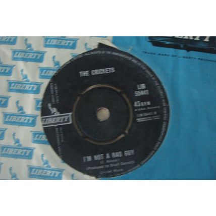 A4-THE CRICKETS-Don't Ever Change–UK 7" SINGLE -1962-NM The Crickets ‎