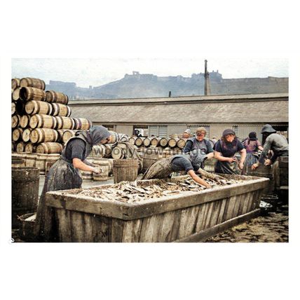 ptc3613 - Yorks - Fisher Girls prepare Fish for Scarborough Market - print 6x4