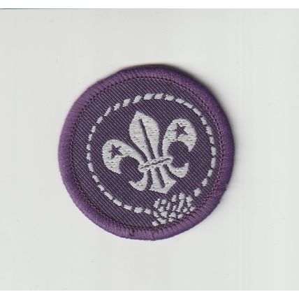 Scout Membership Badge - Non UK?? - Black Back - (BY348)
