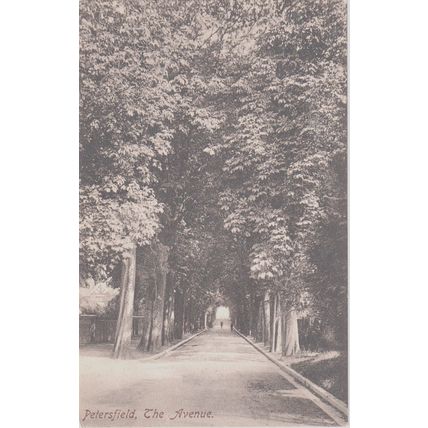 The Avenue Petersfield Hampshire Frith 54405 Postcard (QHAM293)