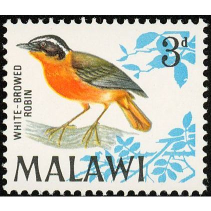Malawi QEII 1968 Birds 3d White Browed Robin Chat Mounted Mint MM SG 312 stamp