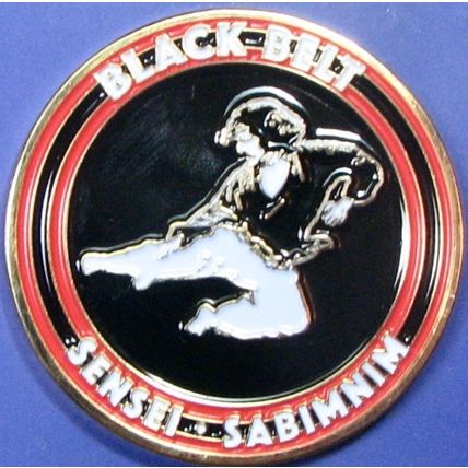 Karate & Tae Kwon Do. Challenge Coin. Souvenir. 1.75". 19b.