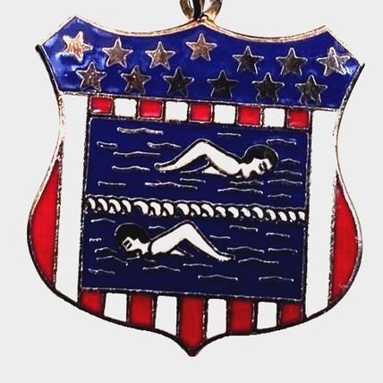 USA Swimming Lanes Crest Award Medal Red White Blue Stars (B28)