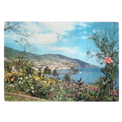 FLOWERY CITY, FUNCHAL, MADEIRA, PORTUGAL used postcard1981 postmark =