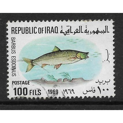 IRAQ 1969 FISHES 100F PIKE BARBEL SG 828 FINE USED #