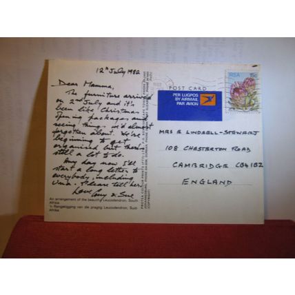 LEUCODENDRON FLOWER OF SOUTH AFRICA used postcard 1982 pm =