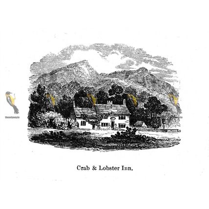 Crab & Lobster Inn, Isle Of Wight, England, 1840, MODERN REPRODUCTION