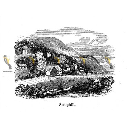 Steephill, Isle Of Wight, England, 1840, MODERN REPRODUCTION