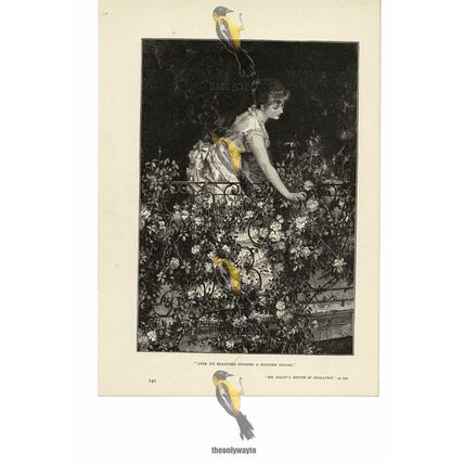 Slender Figure Amongst The Roses, Romantic Victorian Book Illustration, 1886
