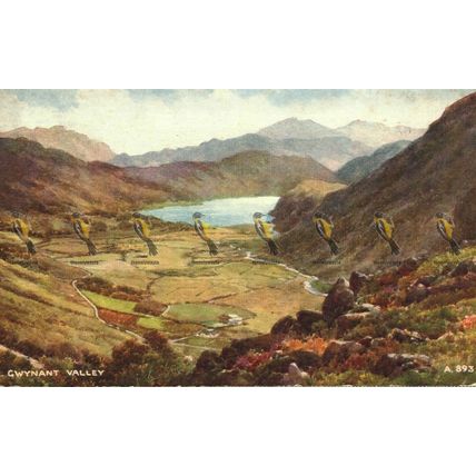 Gwynant Valley, Wales, A893 Valentine's Art Colour Postcard, 1948