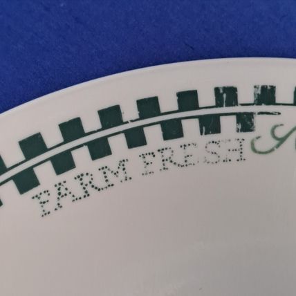 Vintage Lot 2 CORELLE By Corning FARM FRESH 10 1/4" DINNER PLATES salad