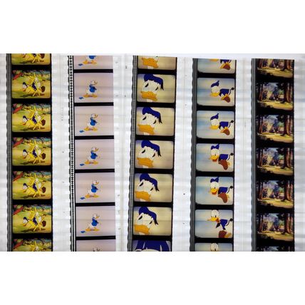 Donald Duck. Pk MULTI AKF - A005e . - 5 STRIPS OF 5 - 35MM FILM CELLS