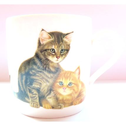 Ginger & Grey Kittens Mug Fine Bone China 9 CM