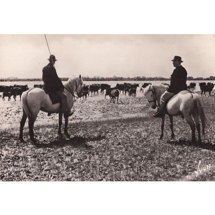 Menade Camargue French Cattle Herder Real Photo Postcard