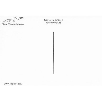 9199: Full suns