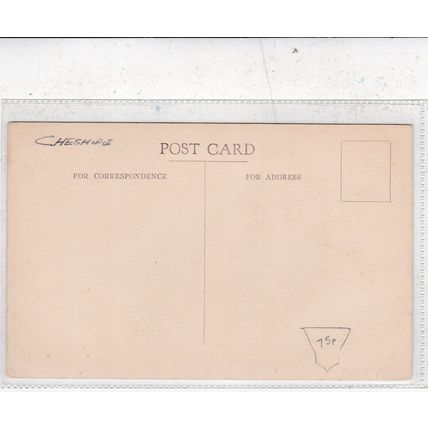 Childrens Corner Chester Cathedral Cheshire Postcard unused VGC