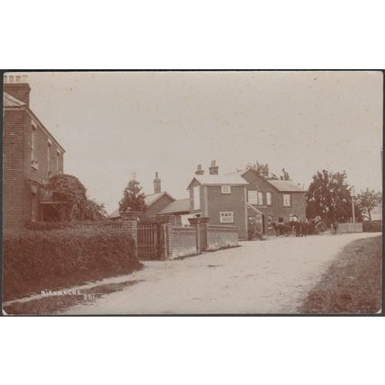 Bicknacre, Essex, c.1910 - RP Postcard