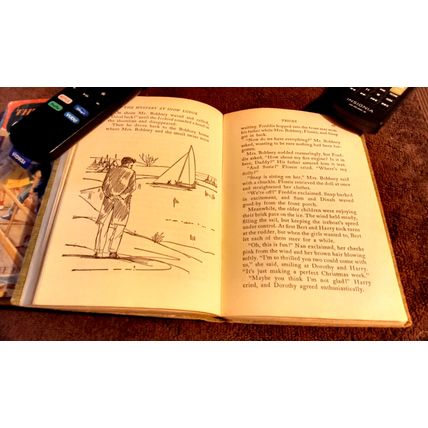 The Bobbsey Twins At Snow Lodge 1960 By Laura Lee Hope Great Shape