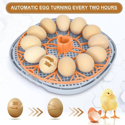Smart Chicken Incubators for Hatching Eggs with Automatic Turner Small Poultry D