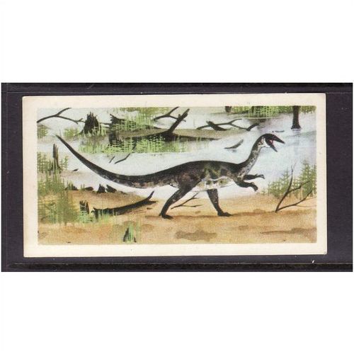 Brook Bond Prehistoric Animals Coelophysis No 13 Mint