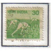 1979 INDIA HAVESTING MAIZE 30P YELLOWISH GREEN F/U SG926