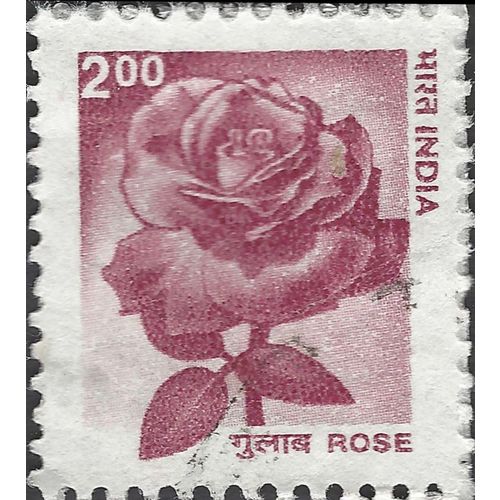 INDIA, Rose, red-violet 2002, 2R, #3