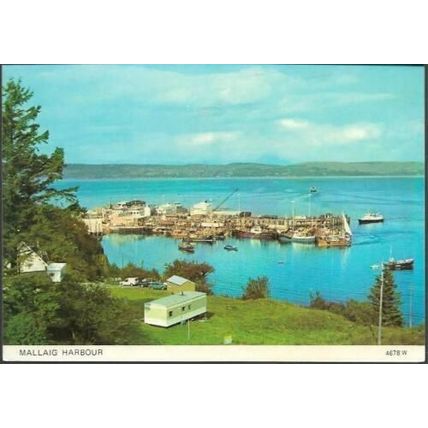 Mallaig, Lochaber, Highland - harbour, caravans - Whiteholme postcard c.1970s