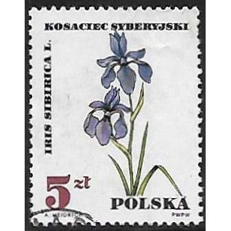 Mi 1774: 5 Zl. multicoloured Protected Plants: Iris (Iris sibirica)