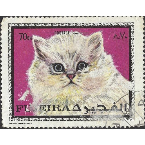 FUJEIRA, CAT, Domestic Persian, violet 1970, 70dh