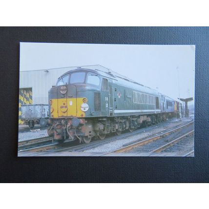 Dawlish Warren No.19 Class 44 D8 Penyghent Postcard