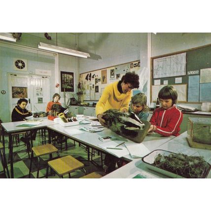 Nature Biology Childrens Study Classroom School Pelham Hertfordshire Postcard