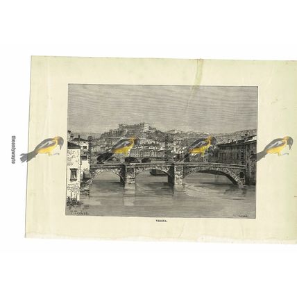 Verona, Italy, Book Illustration (Print), 1880
