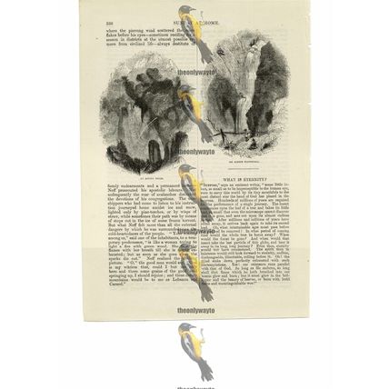 Alpine Storm & Waterfall, Book Illustration (Print), 1856