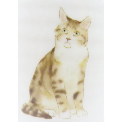 Cat Mug Ceramic 8 CM with Grey Handle Dishwasher & Microwave Safe Tableware