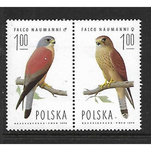 POLAND 1975 1z LESSER KESTREL HORZ PAIR SG2341 , SG2342 2 VALS U/M MINT