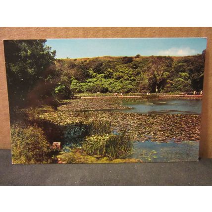 BOSHERSTON, LILY POOLS, Wales.. unused postcard Colourmaster =