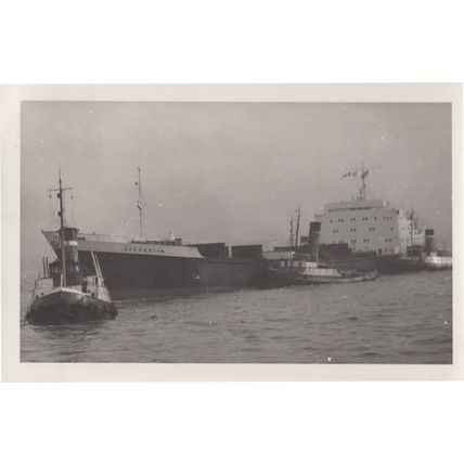 Daghestan Motor Vessel Cargo William Doxford Ship Rare Photo