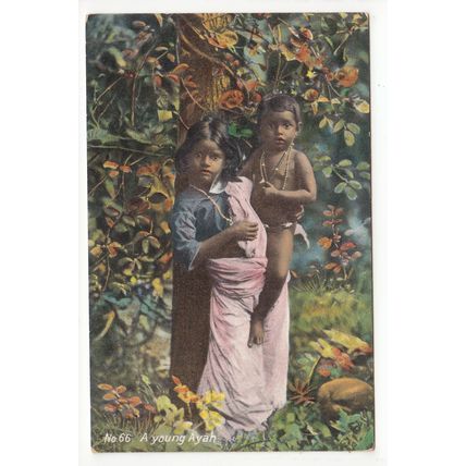 A Young Ayah Ceylon Postcard