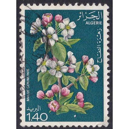 Algeria 1978 SG 737 Used - Flora/Flowers (E-649 (6))