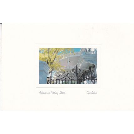 Autumn on Meeting Street Charleston United States Postcard unused VGC