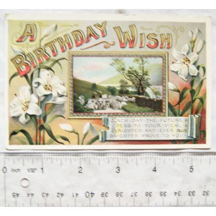 1908 postcard A Birthday Wish