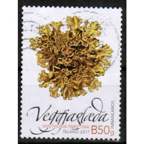 2017 Iceland Mi 1533 - Plants (orange lichen) B50g (180kr) used